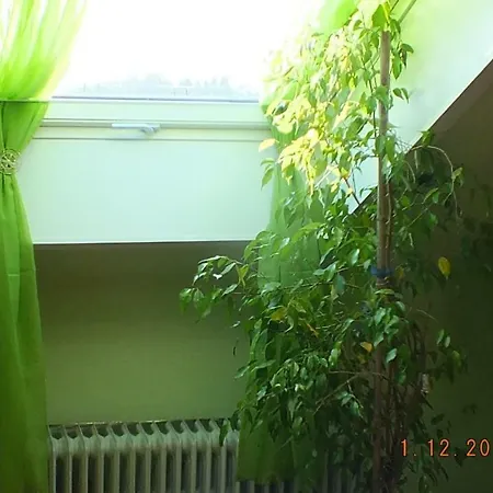Feriendomicil Paradies דירה *