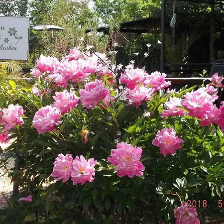 Feriendomicil Paradies קיפנהיים